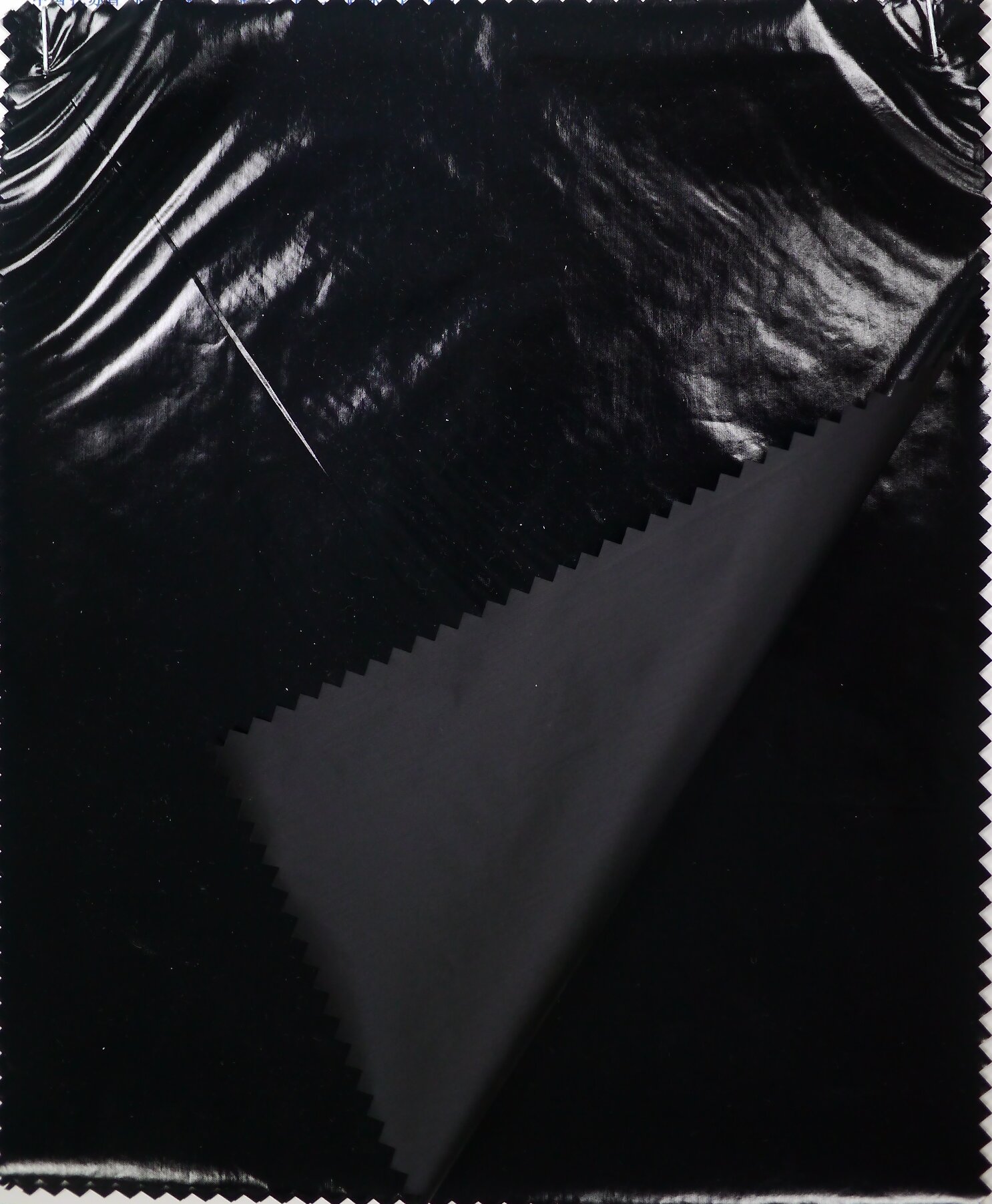 Nylon taffeta bright PXN0264